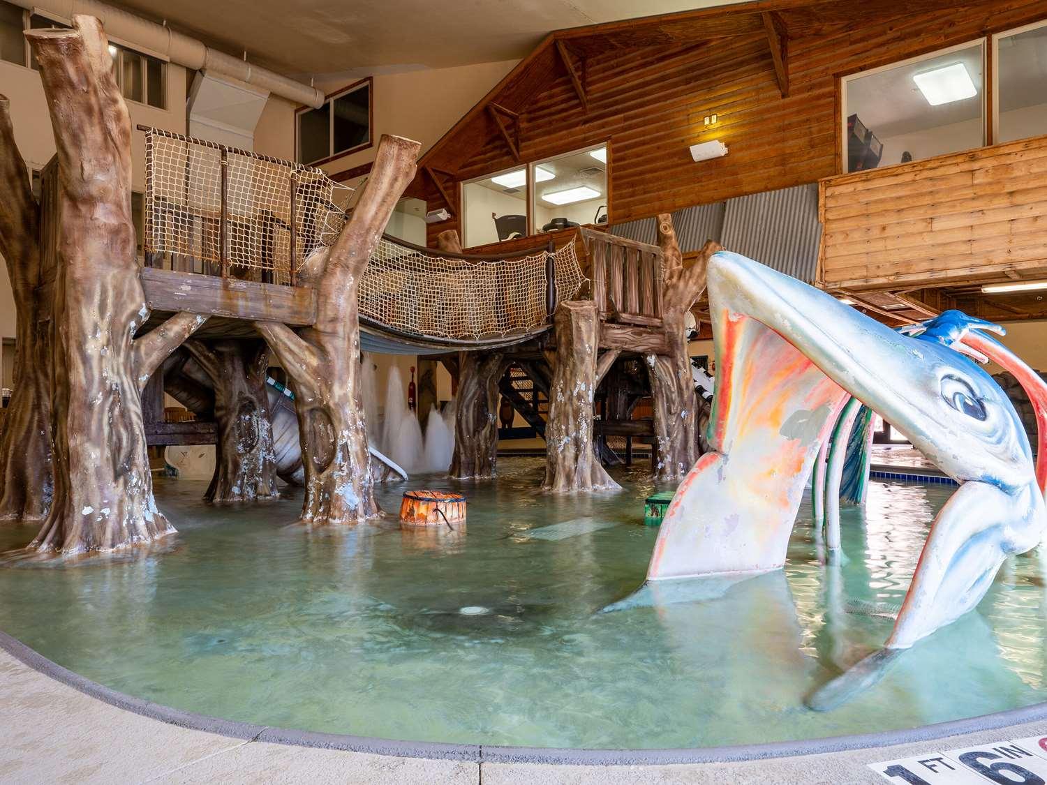 swimming pool spa