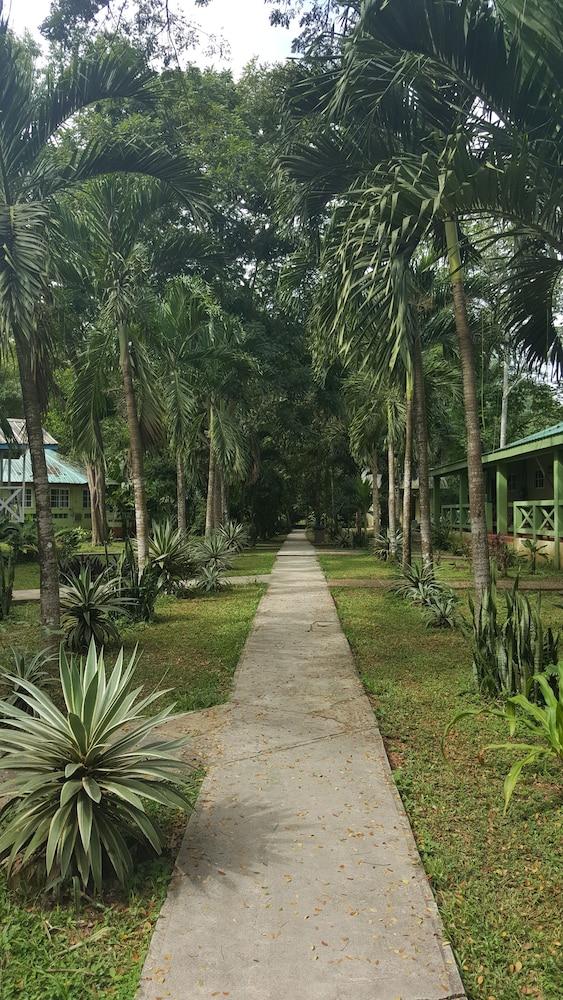 surroundings