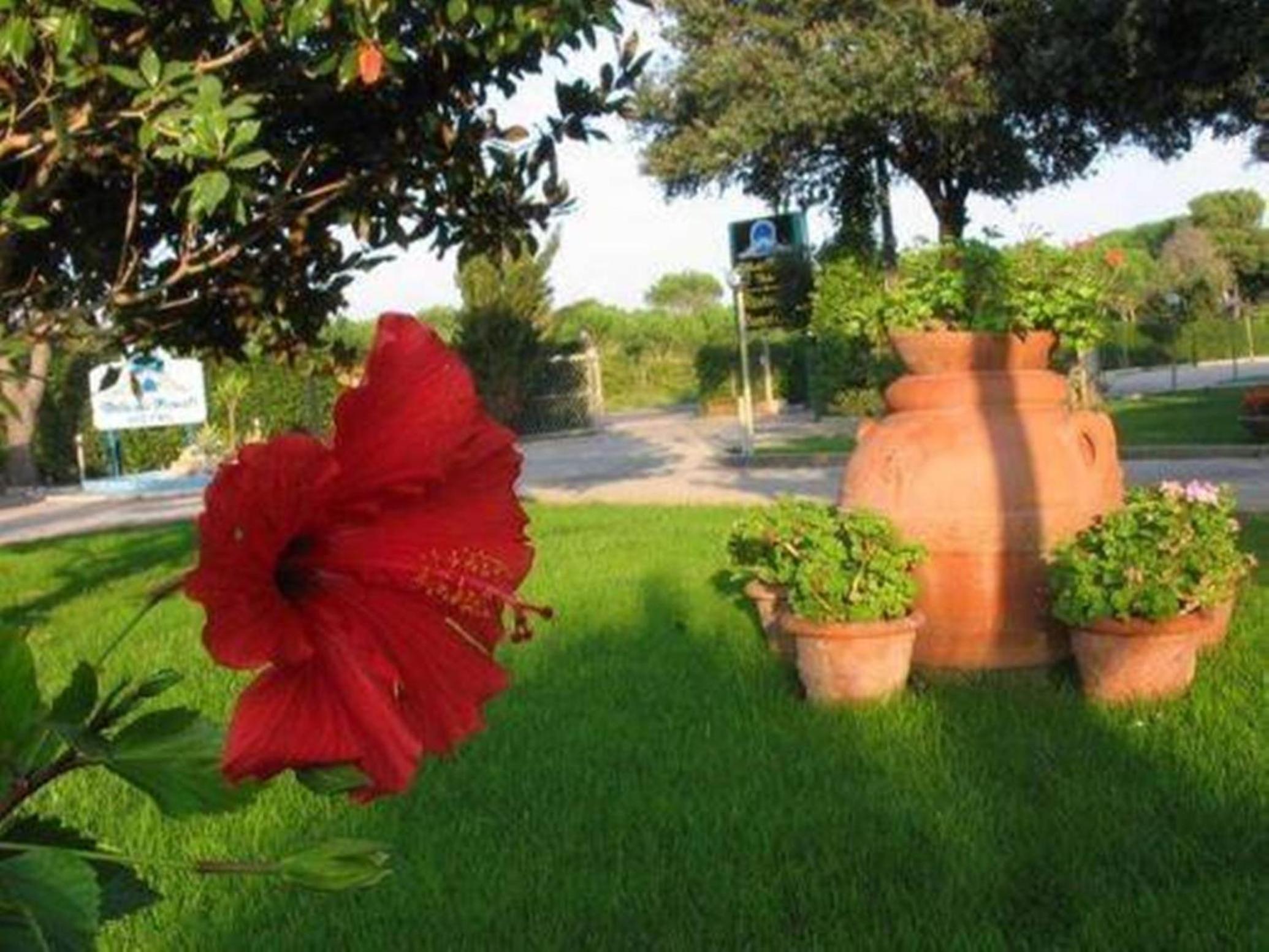 surroundings