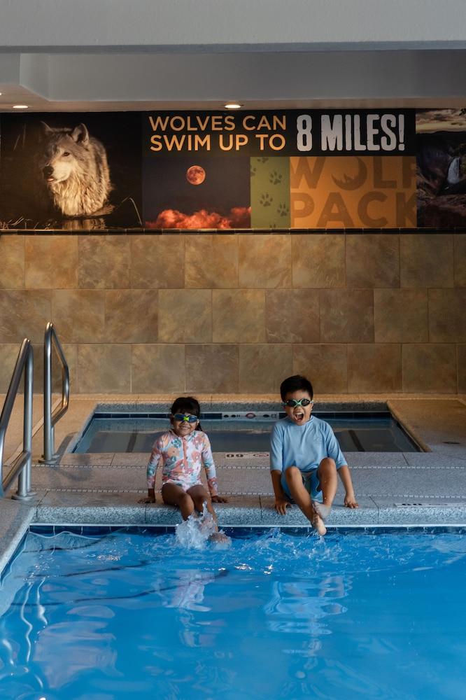 swimming pool spa