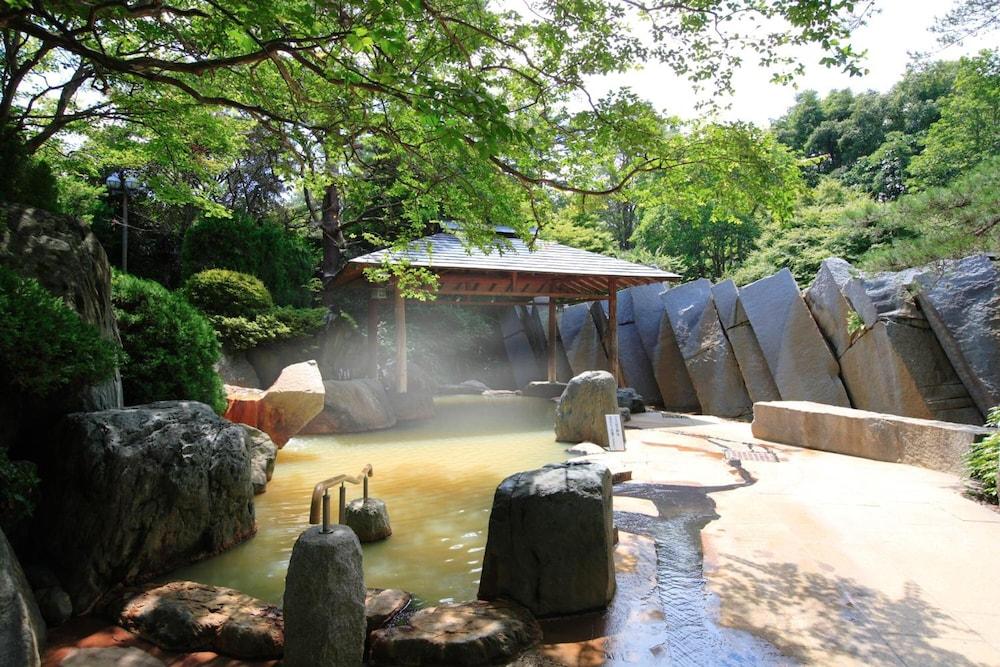 swimming pool spa