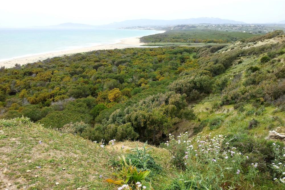 surroundings