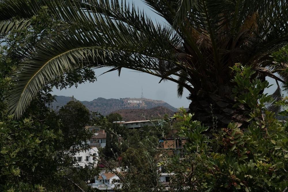 surroundings