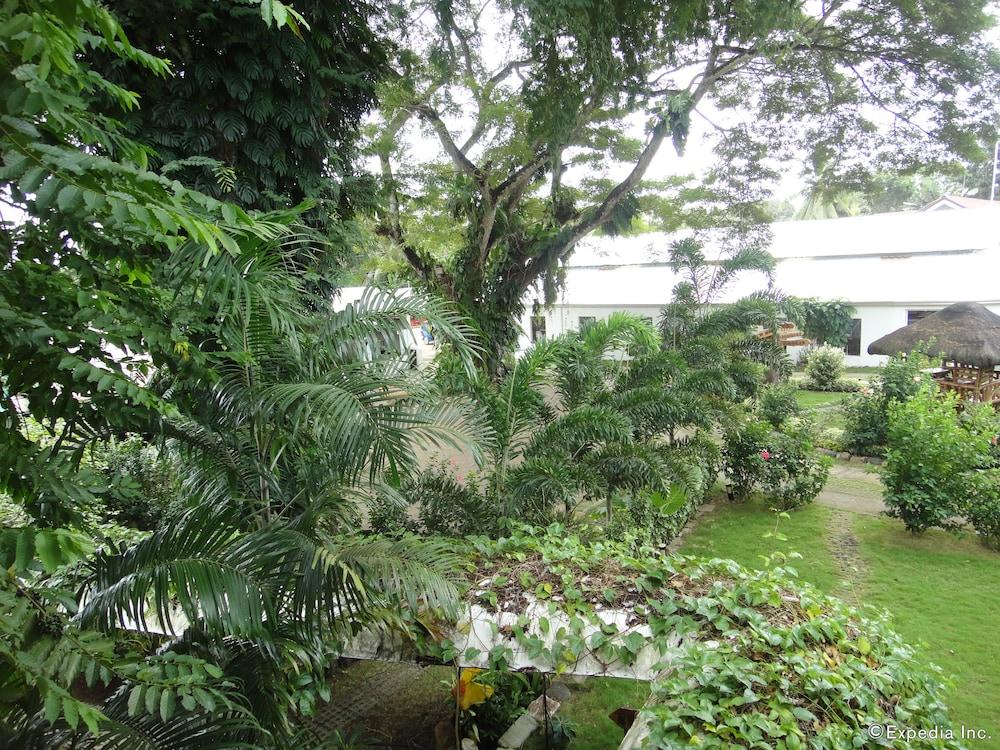 surroundings