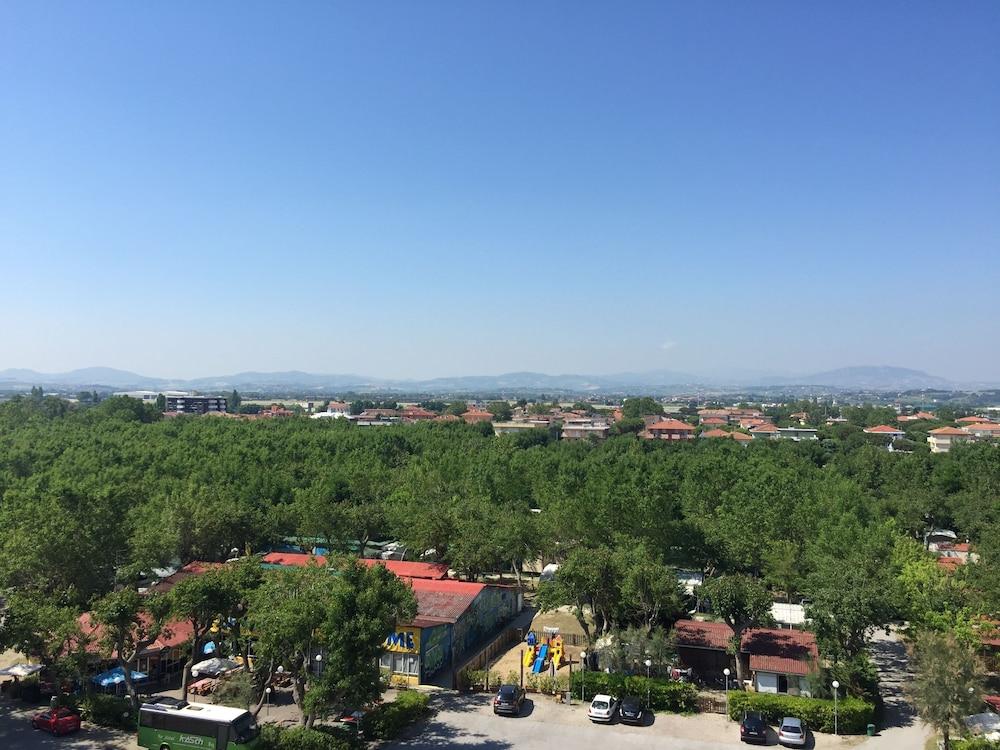 surroundings