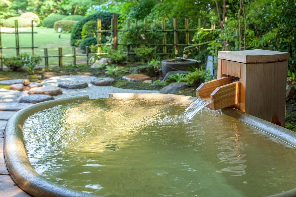 swimming pool spa