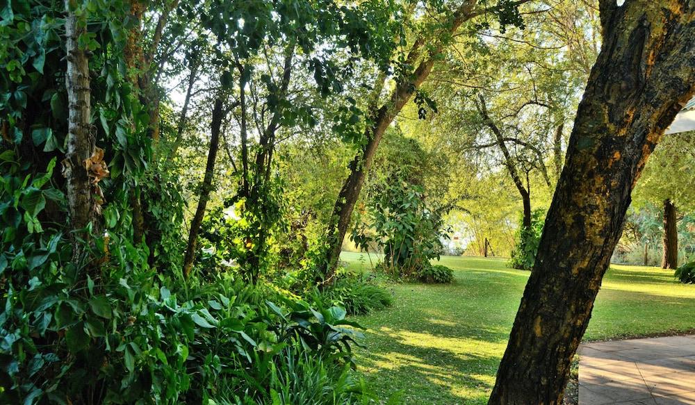 surroundings