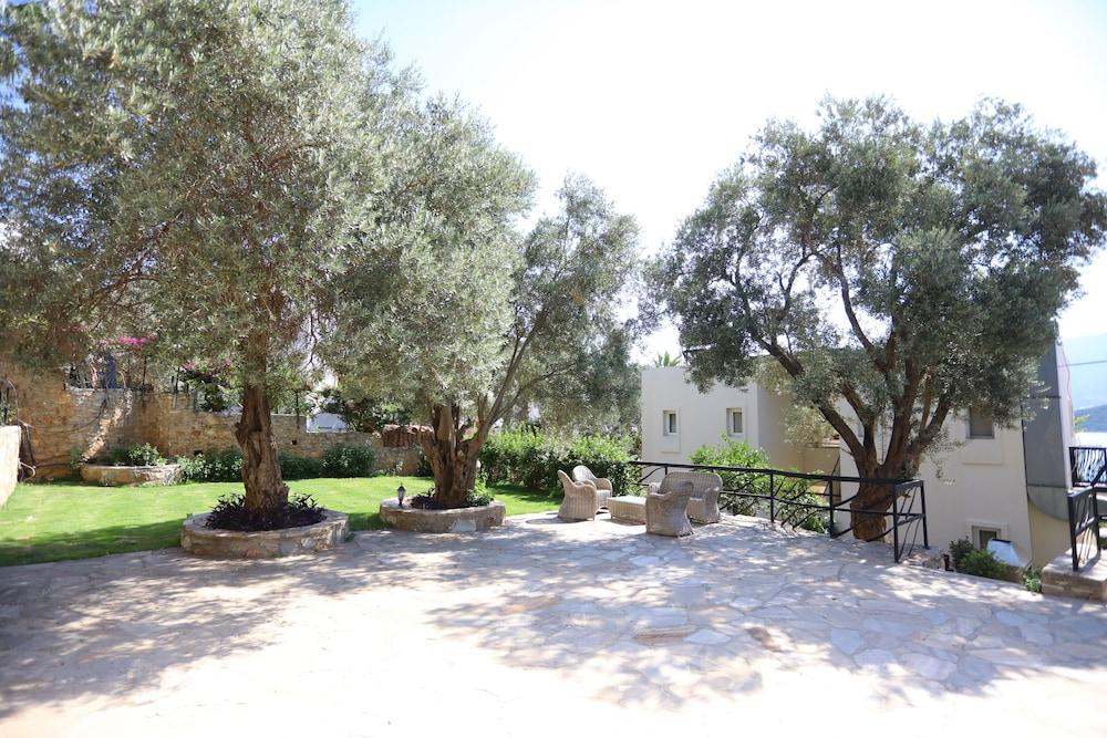 surroundings
