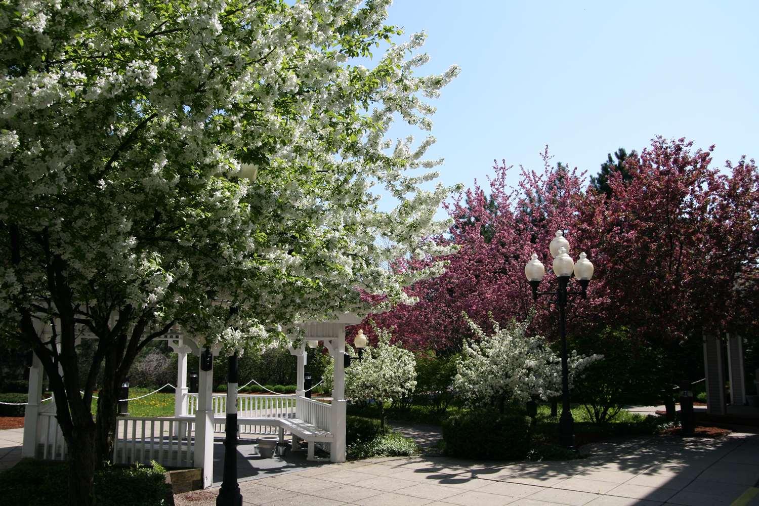 surroundings