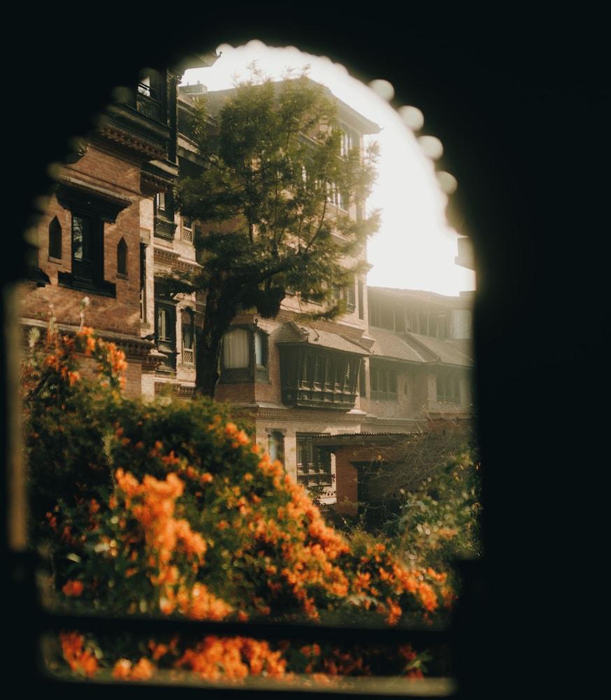 surroundings