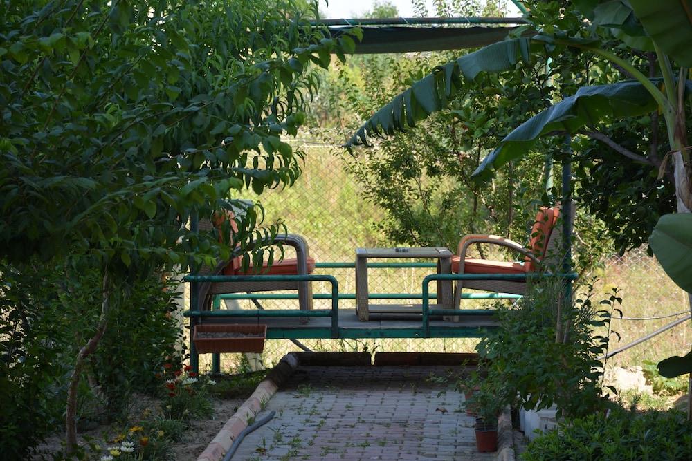surroundings