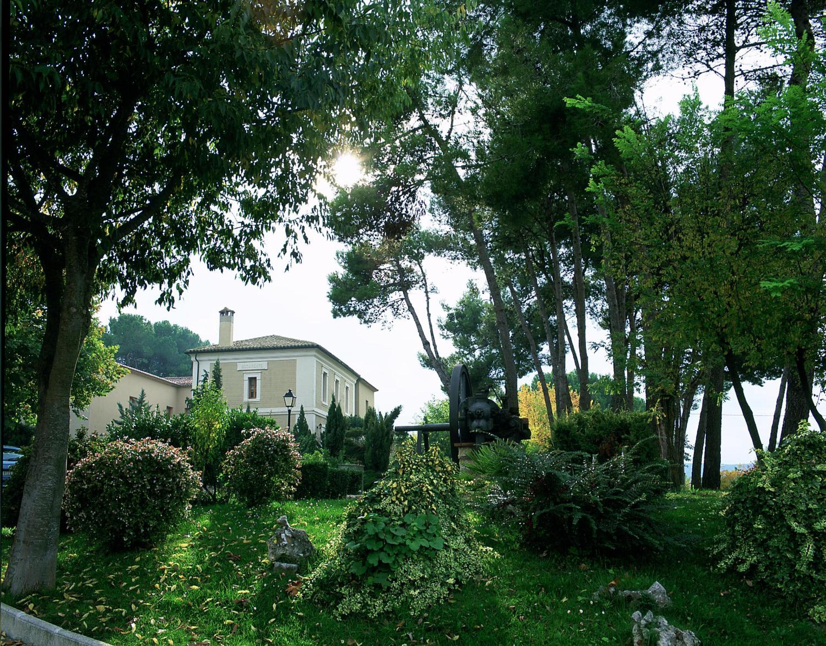 surroundings