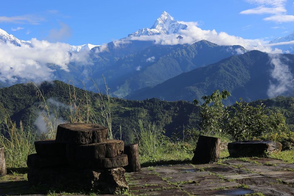 surroundings