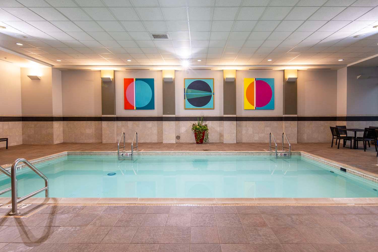swimming pool spa