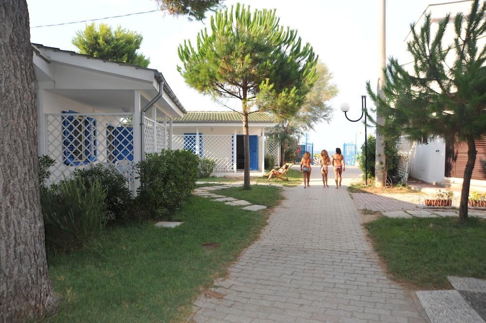 surroundings