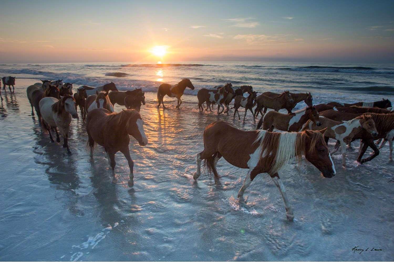 surroundings