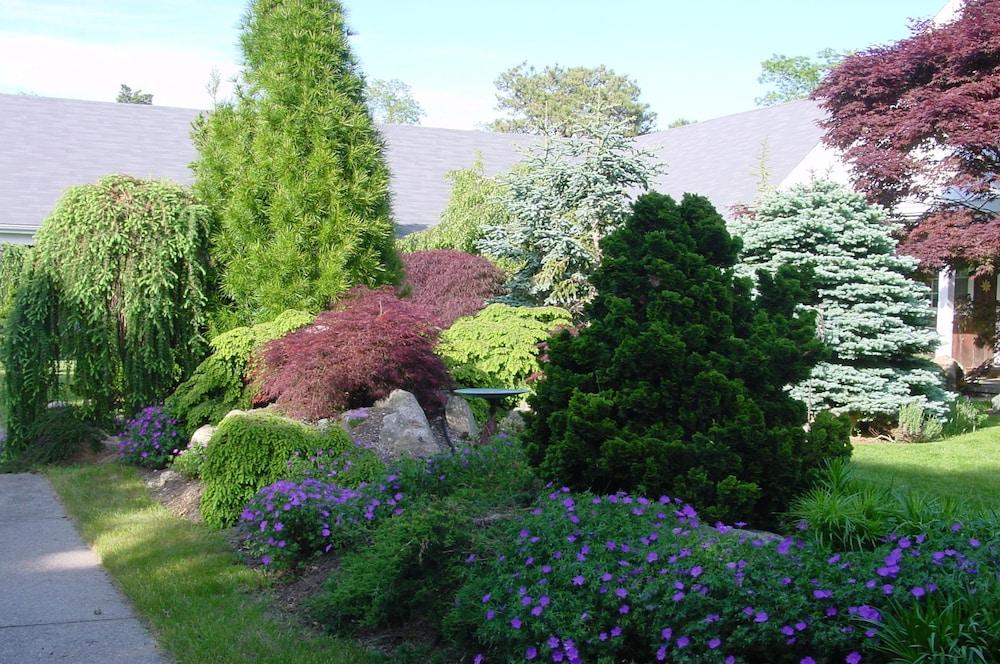 surroundings