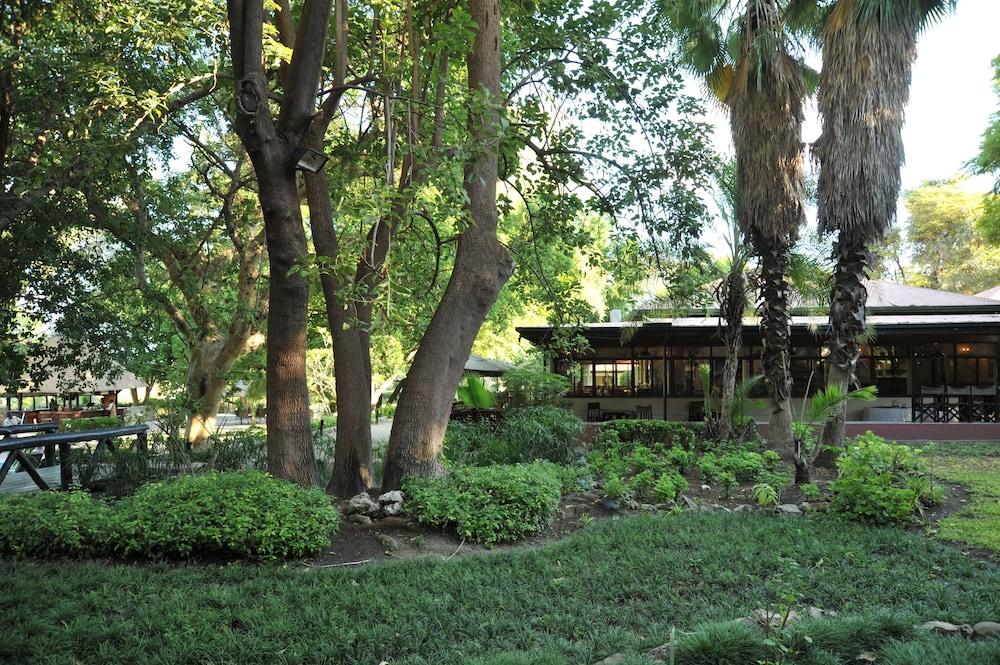 surroundings