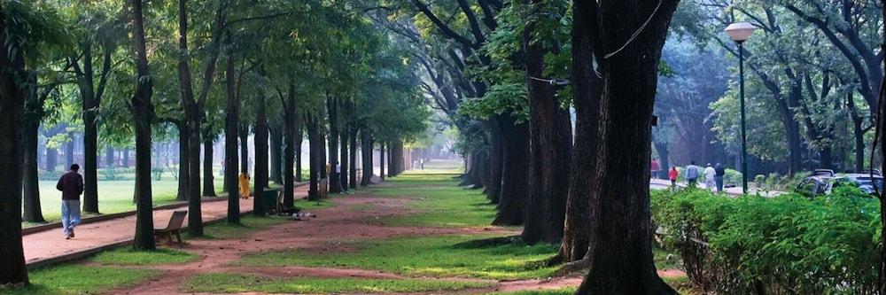 surroundings