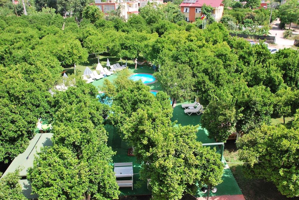 surroundings