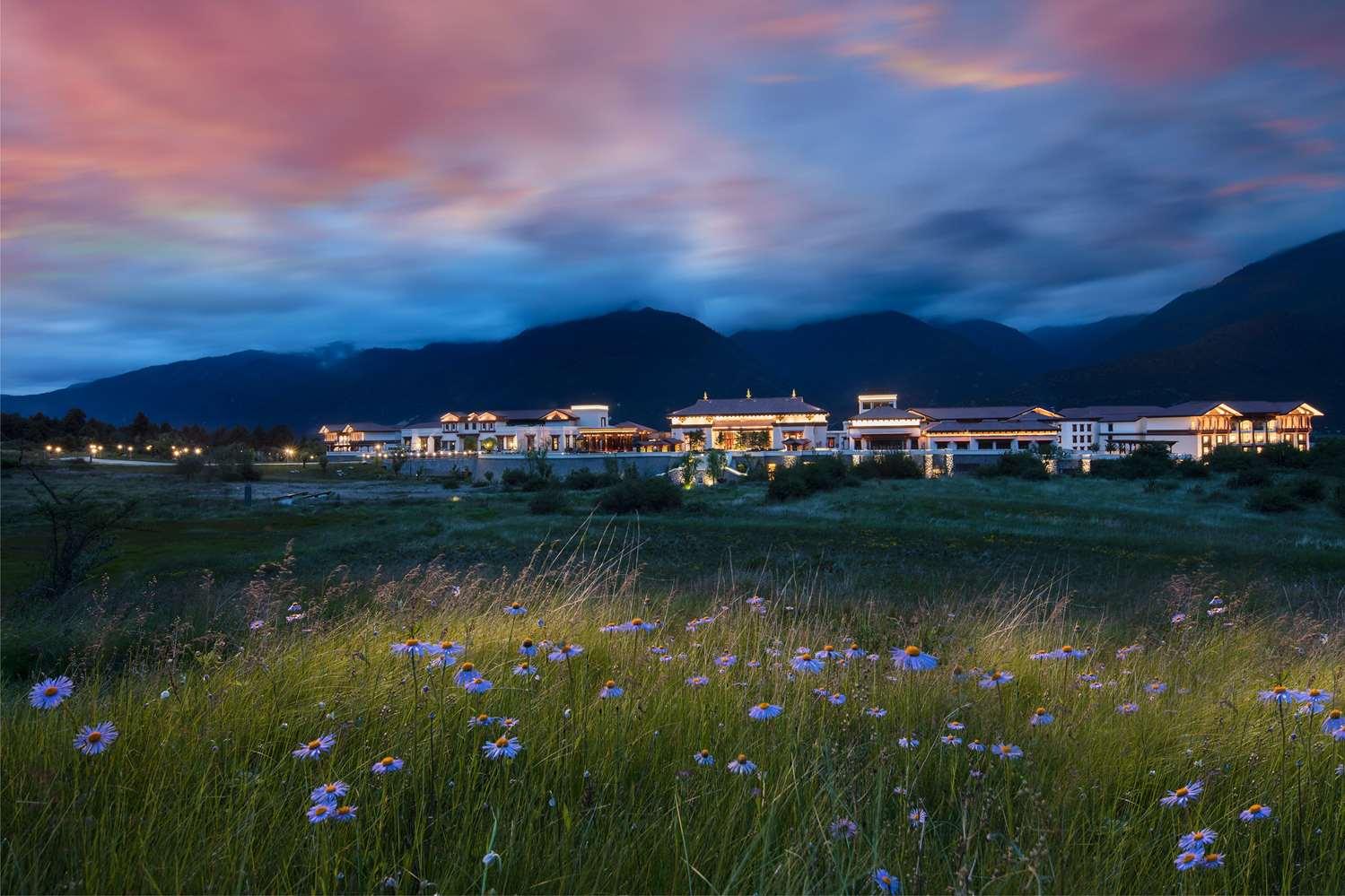 surroundings
