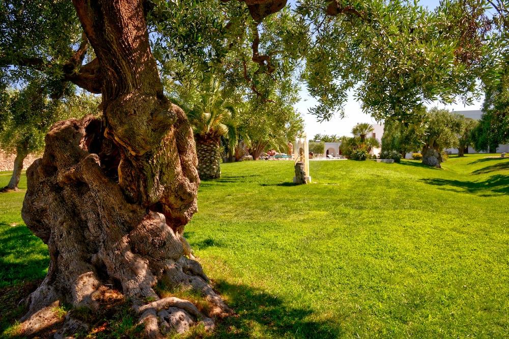 surroundings