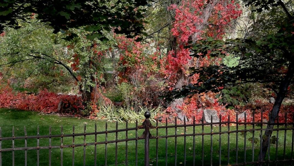 surroundings