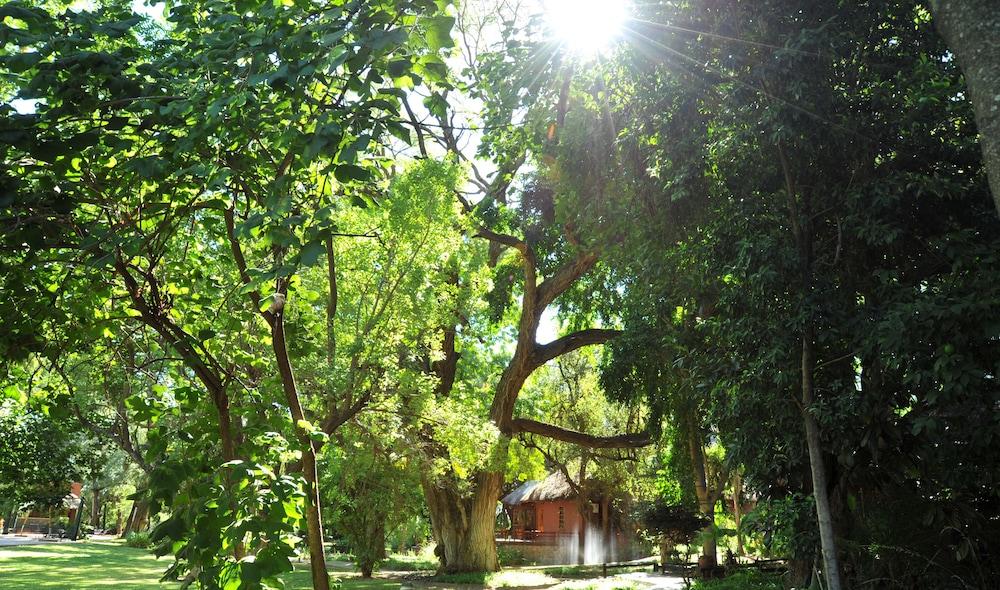 surroundings