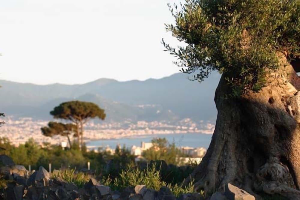 surroundings