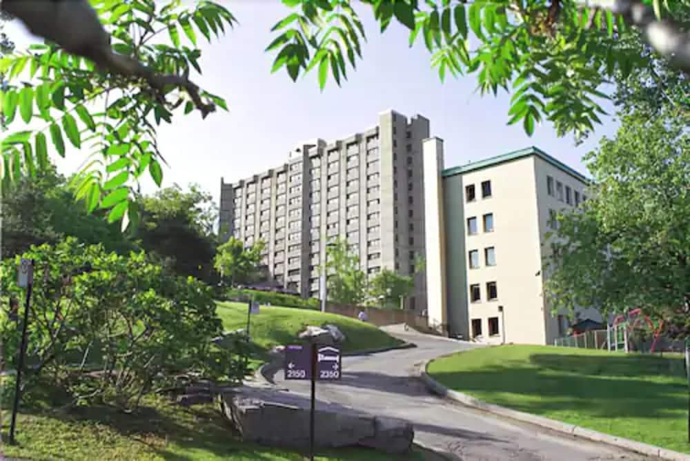 surroundings
