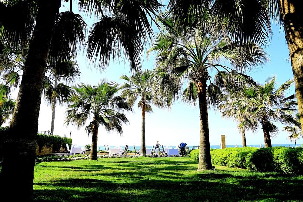 surroundings
