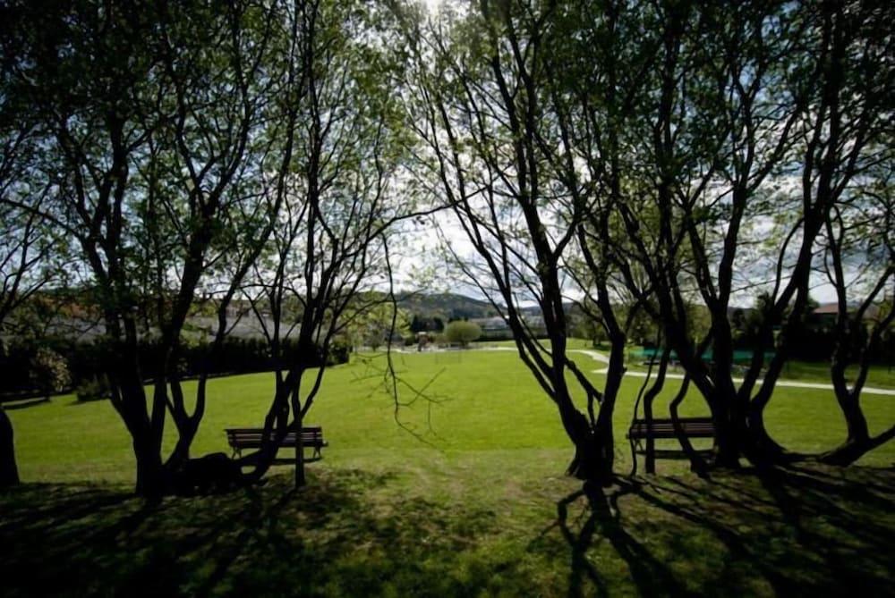 surroundings