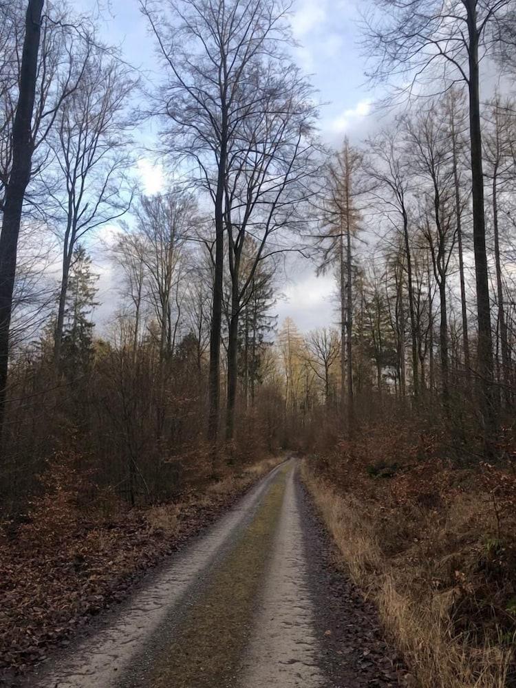 surroundings