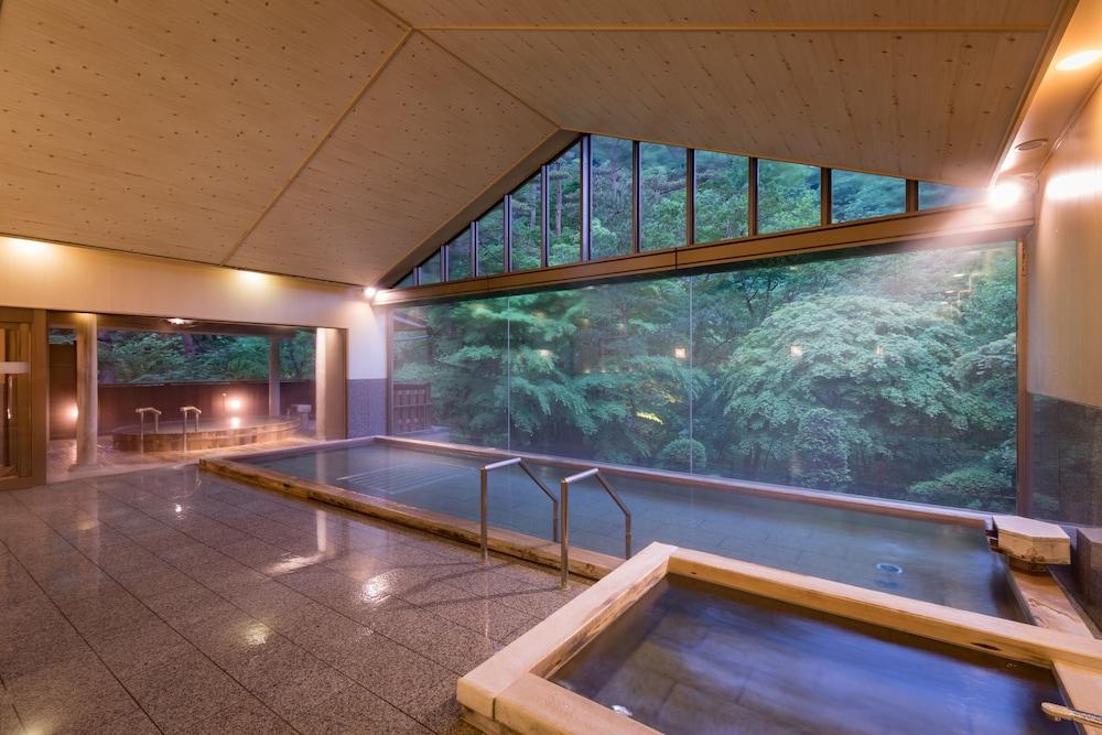 swimming pool spa