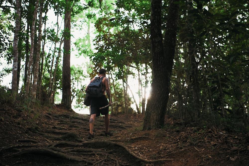 surroundings