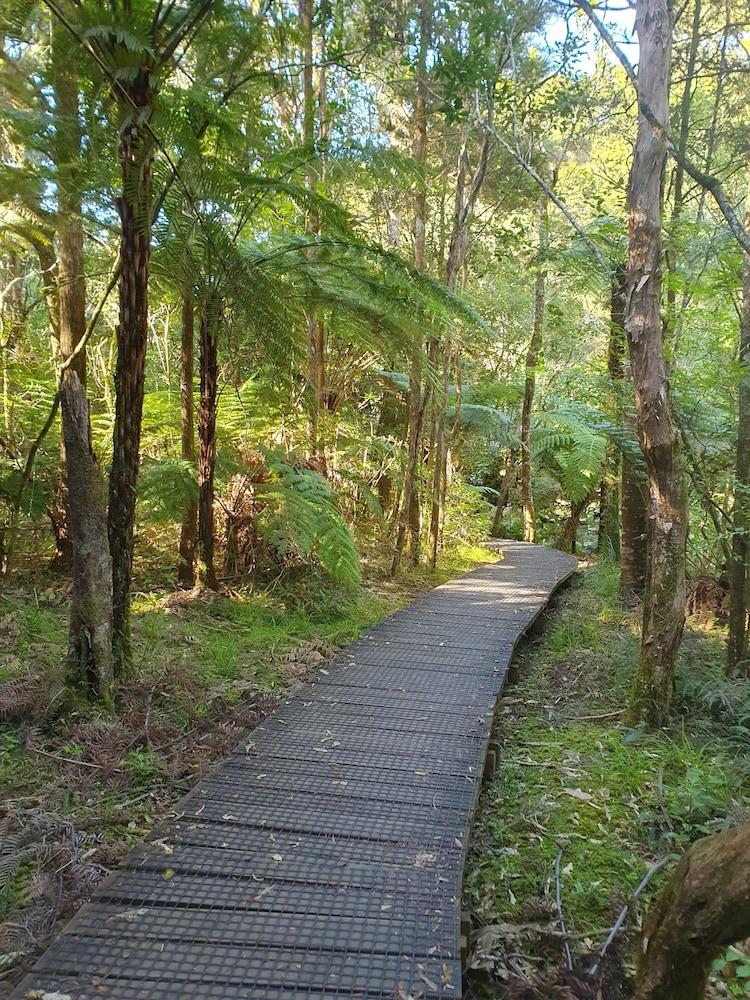 surroundings