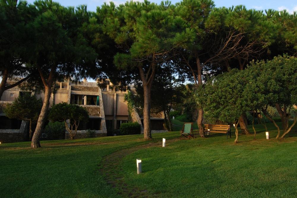 surroundings