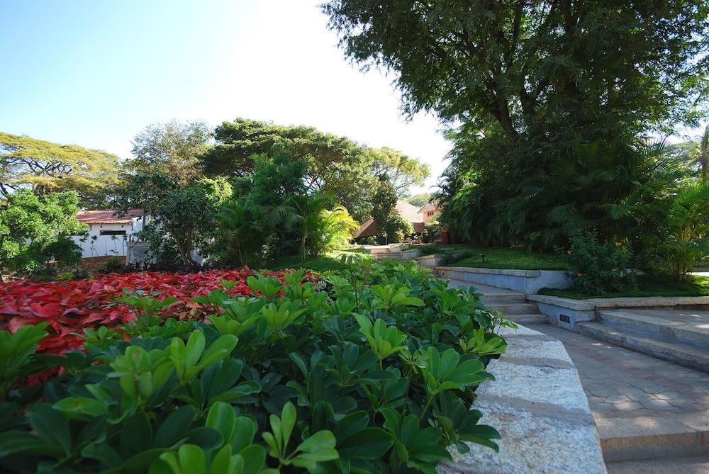surroundings