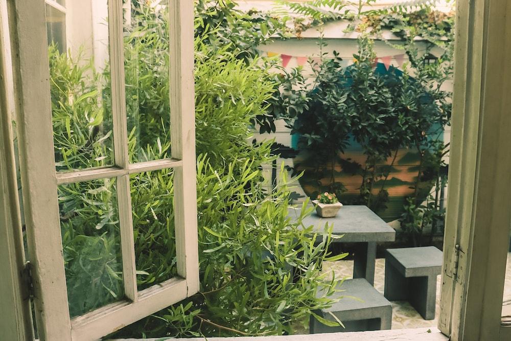 surroundings