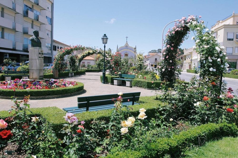 surroundings