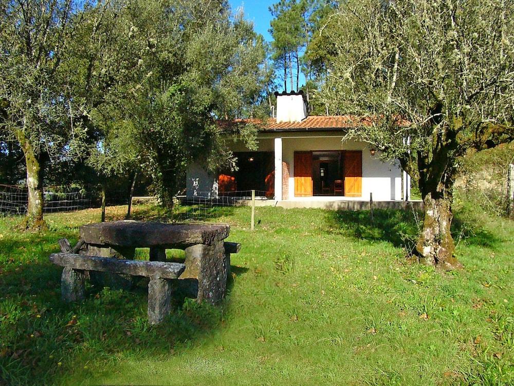 surroundings