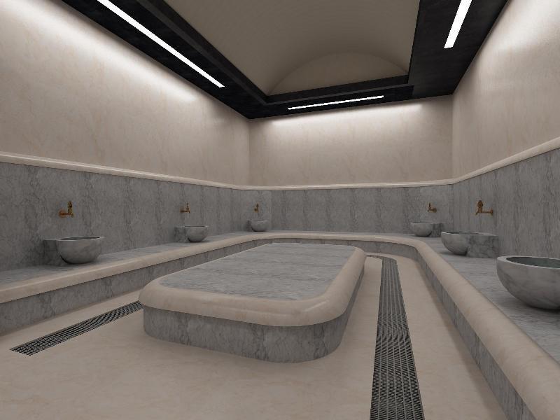 swimming pool spa