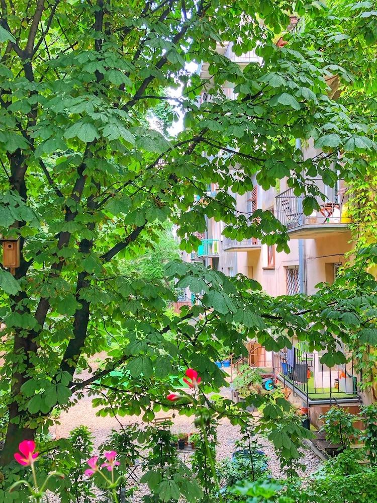 surroundings