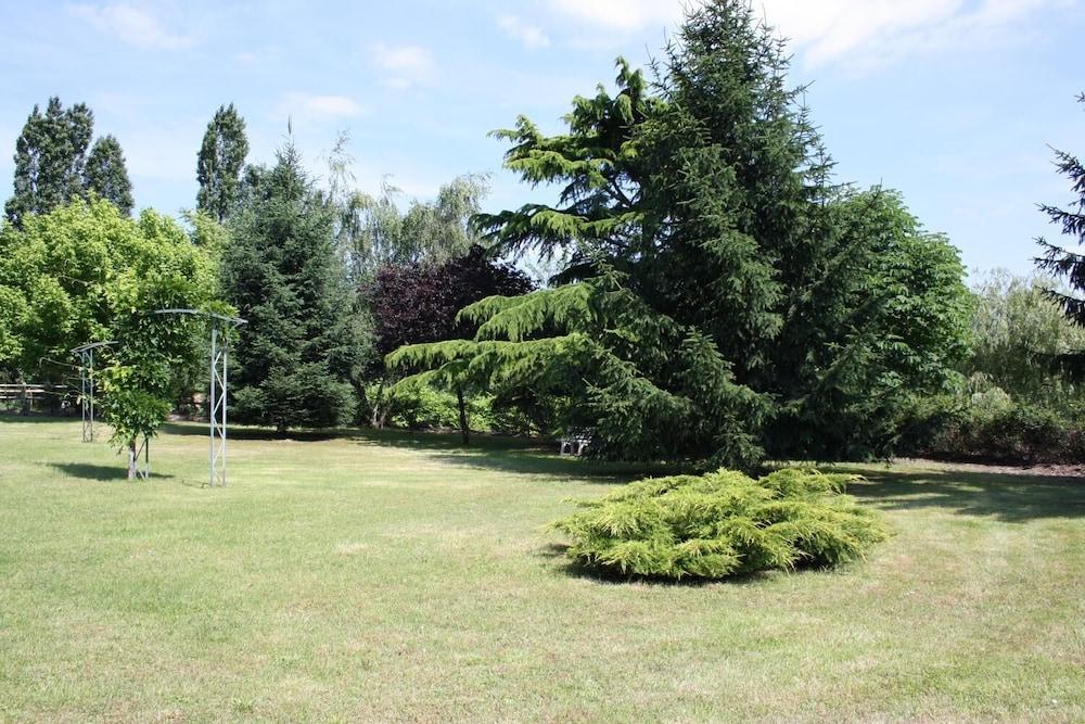 surroundings