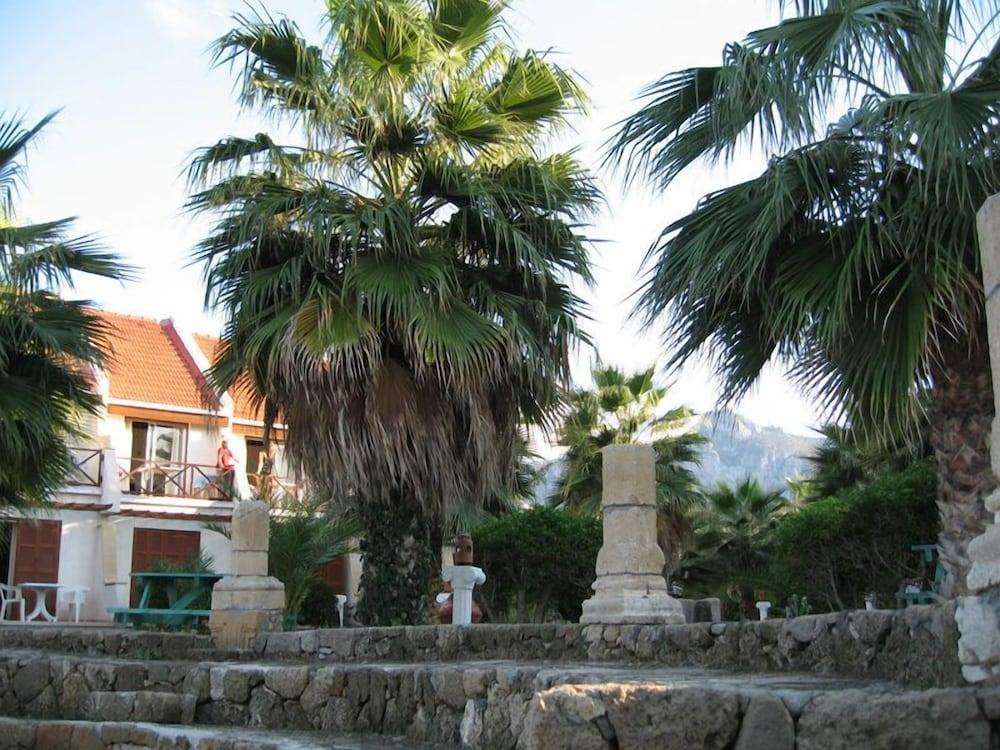 surroundings