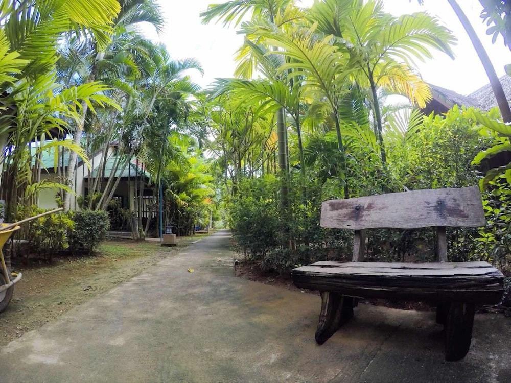 surroundings