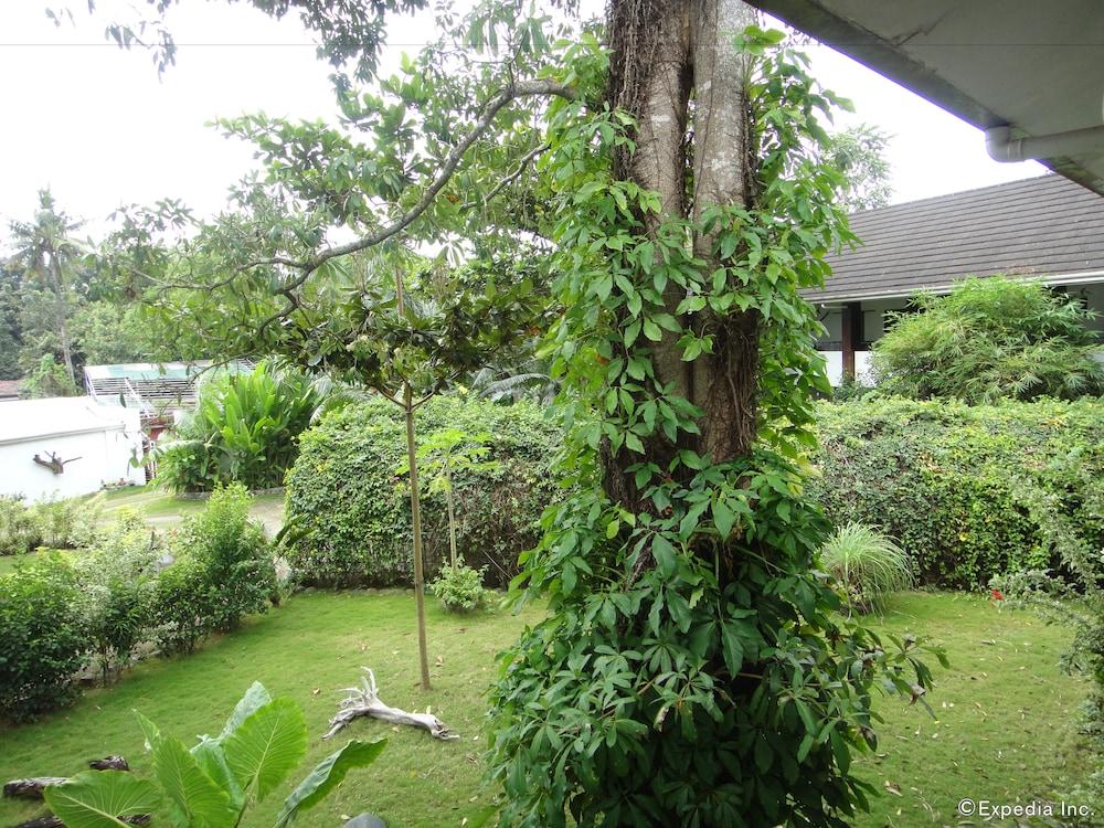 surroundings