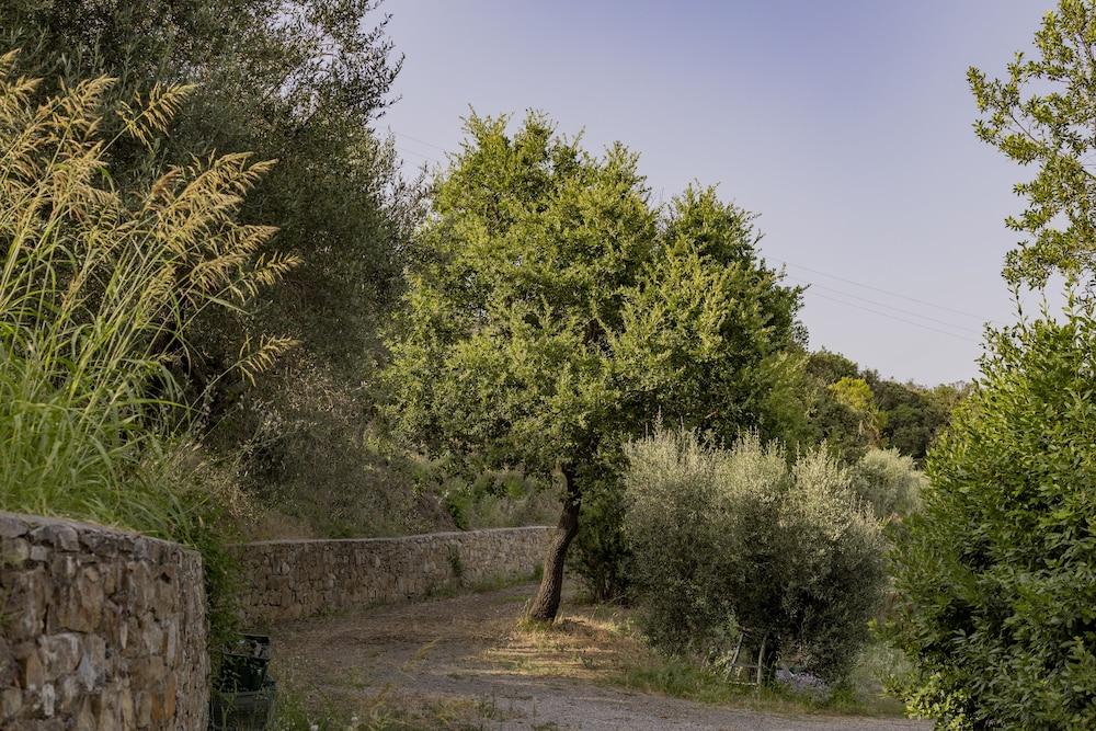 surroundings