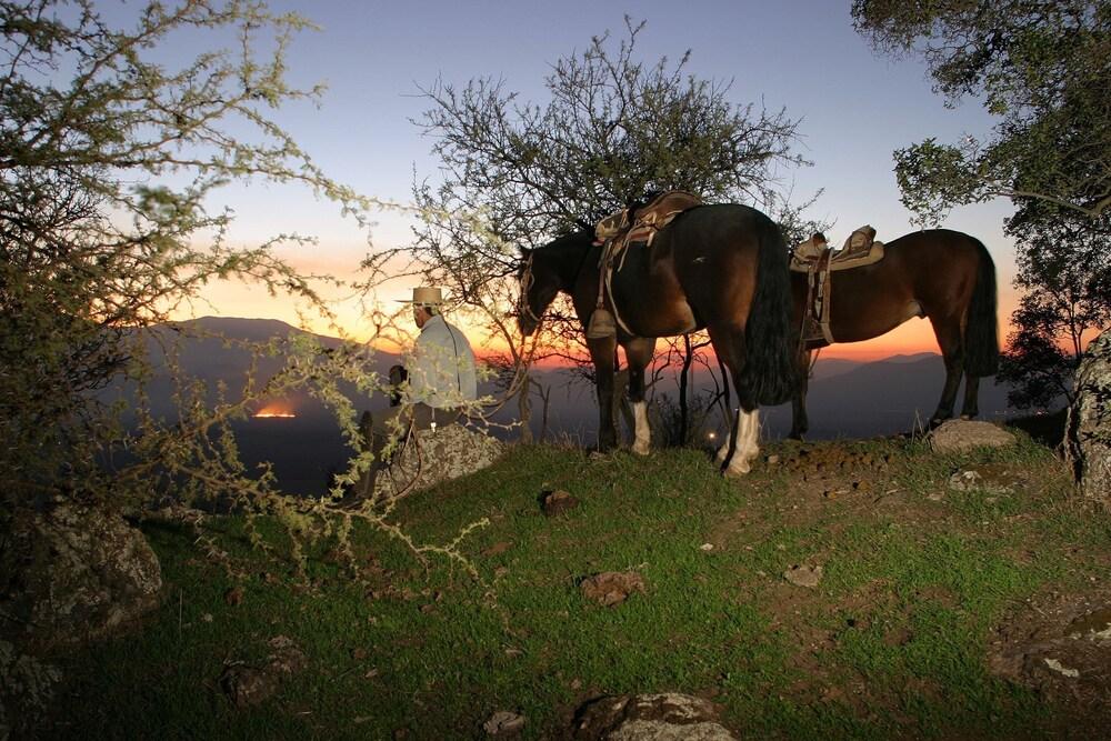 surroundings