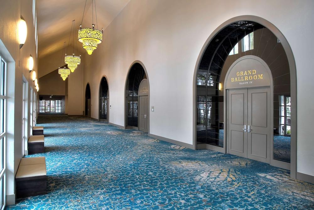 swimming pool spa